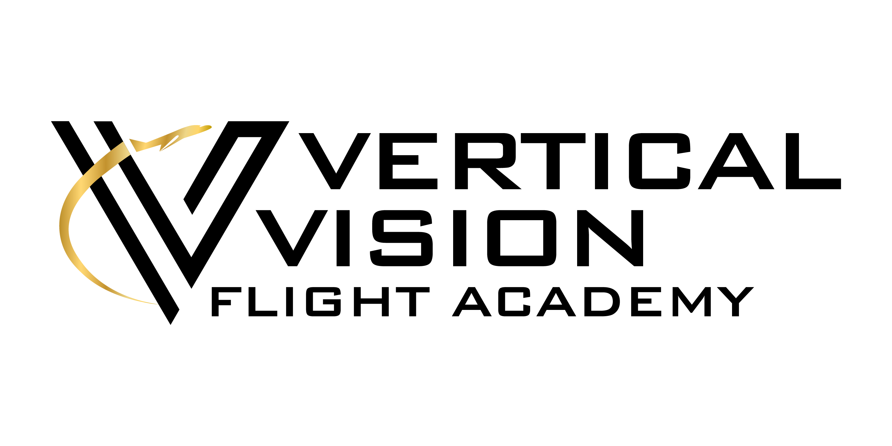 Vertical Vision Flight Academy logo