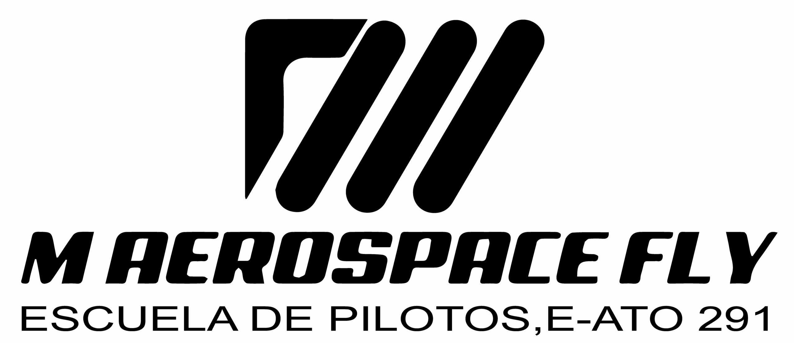 MAEROSPACE FLY logo