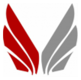 Chinook Flight logo